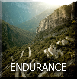 ENDURANCE
