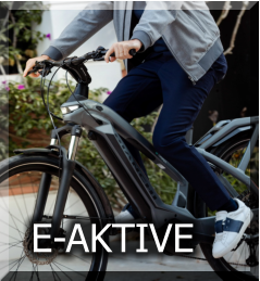 E-AKTIVE
