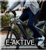 E-AKTIVE